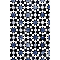 Castorama Tapis Vinyle Motif Carreaux Mosaïque Blanc, Bleu Et Noir L.148,5 X L.99 Cm X Ep. 2 Mm